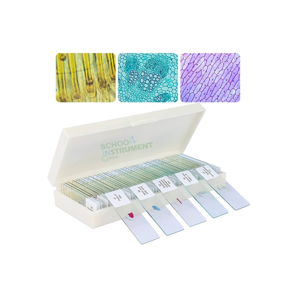 Prepared Slide Set of 100